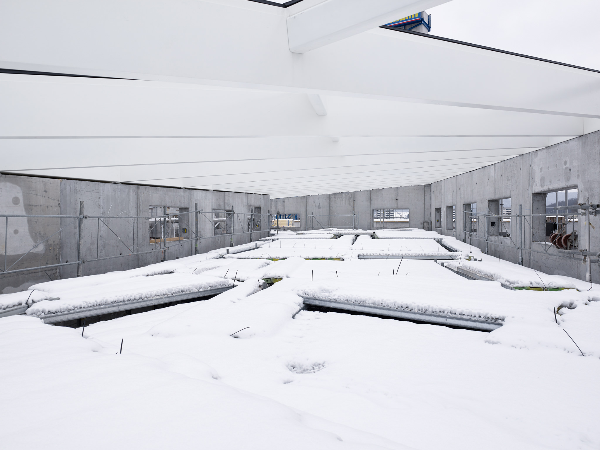 E15541 Alpa 049174 SCREEN